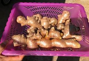 Mizoram Flags Off 10-Metric-Tonne Ginger Export to Boost Agricultural Trade