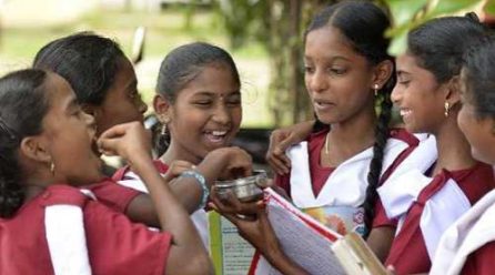 Mizoram vs Kerala: Who Achieved Full Literacy First? Understanding NILP and Functional Literacy